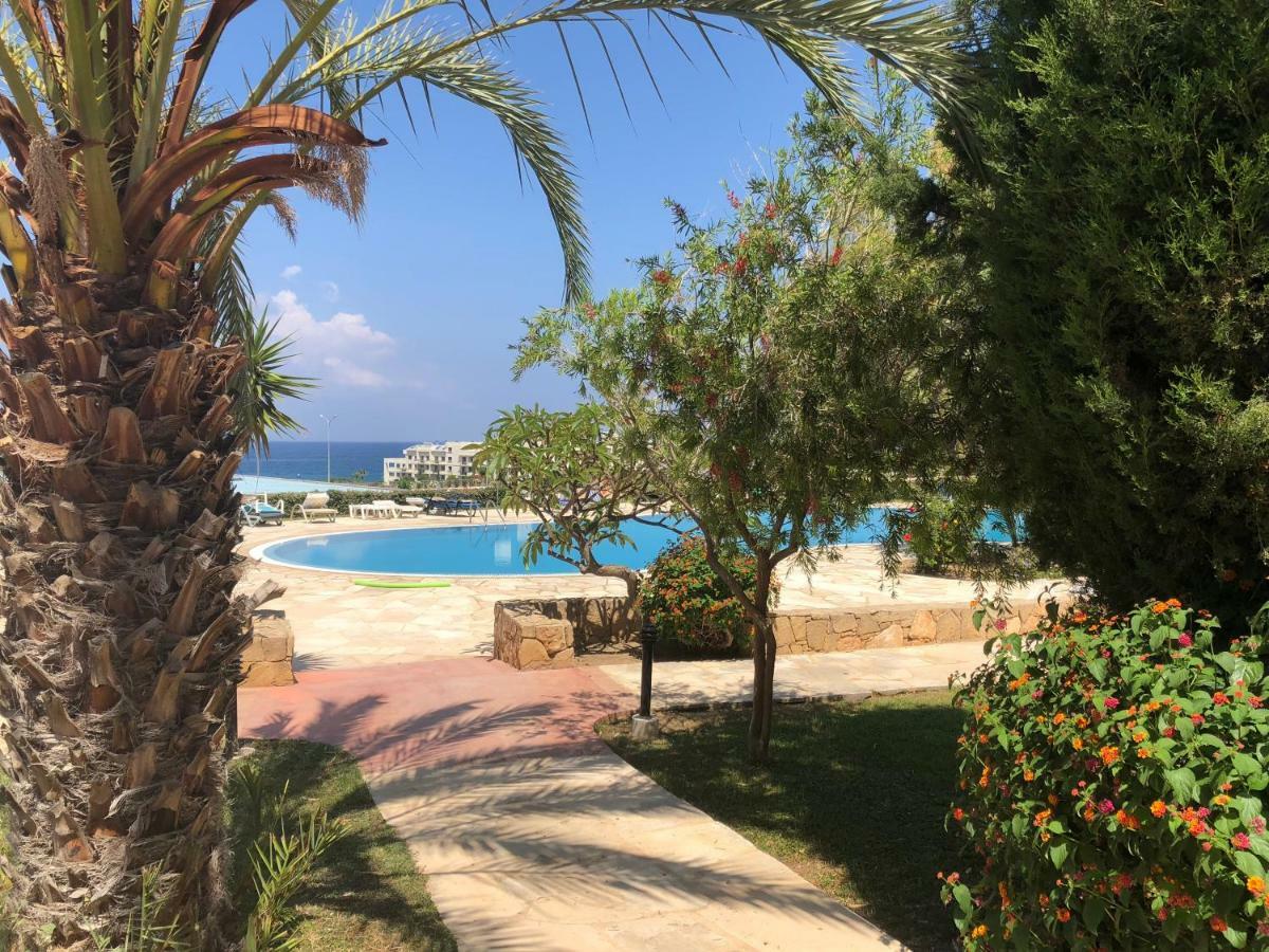 Kings Palace - Fabulous Pool-Side 2 Bed Apartment Paphos Exteriör bild