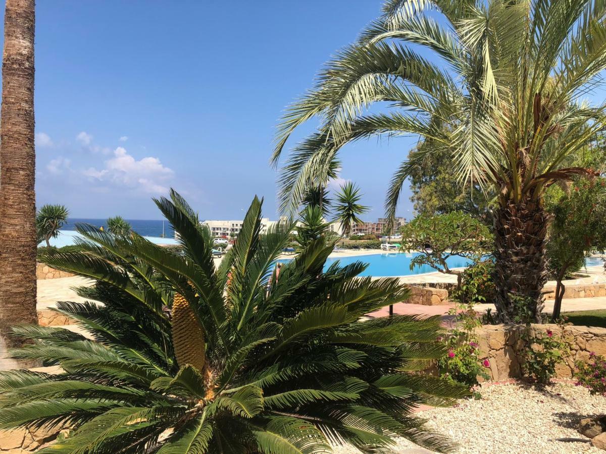 Kings Palace - Fabulous Pool-Side 2 Bed Apartment Paphos Exteriör bild