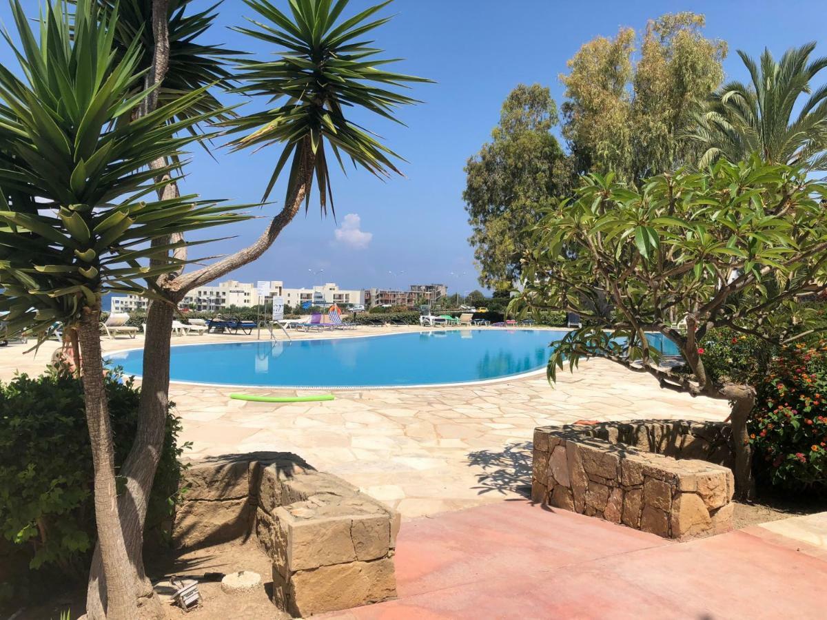 Kings Palace - Fabulous Pool-Side 2 Bed Apartment Paphos Exteriör bild
